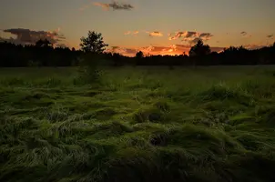_DSC8171.webp
