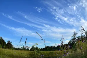 _DSC7996.webp