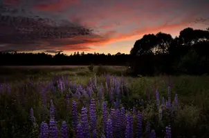 _DSC8067.webp