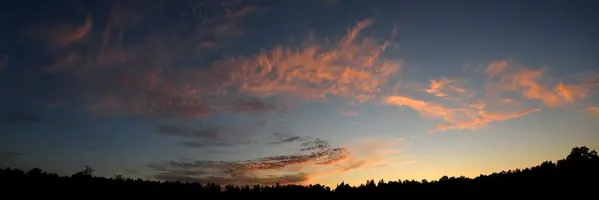 _DSC8051.webp