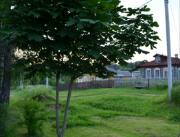 1593294433440.webp