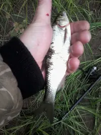 20200627_101348.webp