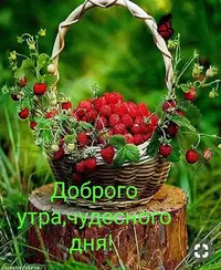 IMG-20190831-WA0000.webp