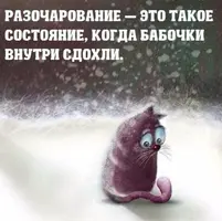 89520C06-9E5D-42A6-BC45-4CF104A33BB4.webp
