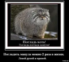e62878a74fe5d7d99a3c1914a4d59c13.webp