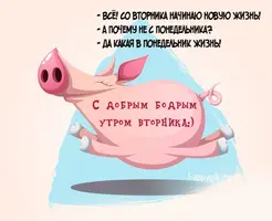 s-dobrym-utrom-vtornika10_happypik.ru_.webp