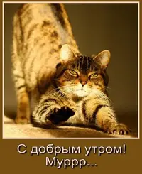 5c76ae9983ac9e7971a01dc578239198.webp
