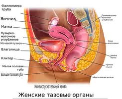 90D31FF8-9D66-4693-A36A-622A6365889A.webp