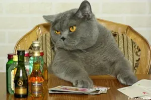 unnamed (5).webp