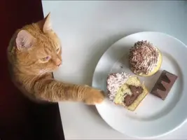 DhKMqpzWkAAy42o.webp