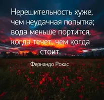 image (1).webp