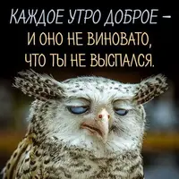 254999509_5e2f157c675269f5c09dc1288d8129a0_800.webp