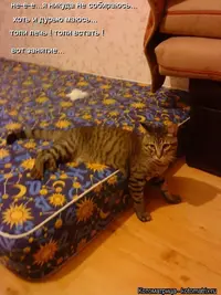 1172922.webp
