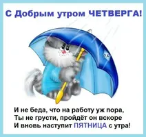 s1200 (4).webp