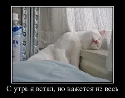 f5588c601b90b030386765d13657913d.webp