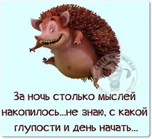 515ba5ddab189e0c5bab12133f2a30e8--humor.webp