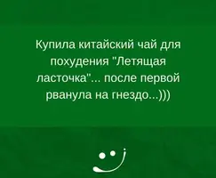 12.webp