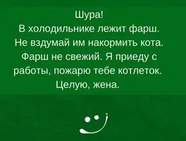 13.webp