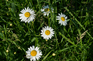 1593803693545.webp