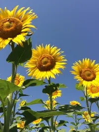 0A2D0808-E267-45CE-9970-A8D53635340C.webp