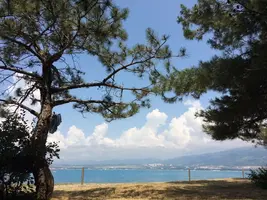 15392EC9-D521-4D53-A160-416138CB1D75.webp