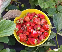 20200707_193315.webp