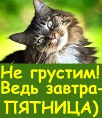 2020-07-09-08-24-02.webp