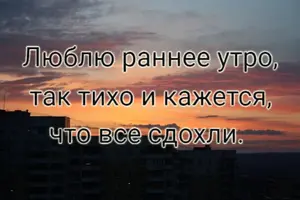 14208722.webp