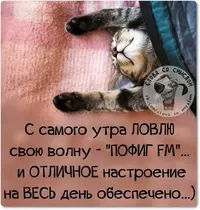 2020-07-10-07-32-04.webp