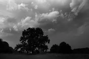 _DSC8474.webp