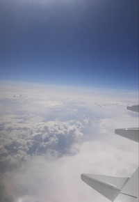 20200711_083933.webp