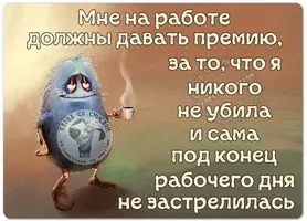 f6eda30be608581d90999a16b3362c26.webp