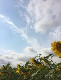 3B2478F7-636E-4C0E-B3BE-B72F581E7C1B.webp