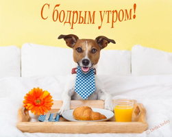dobroe-utro-kartinki-6-1-828x662.webp