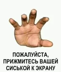 7CE87034-4C96-4965-A42D-429F77662F86.webp