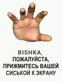 бишка.webp