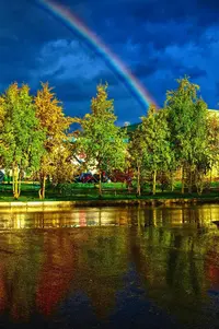 11_ePvEWfdD10.webp