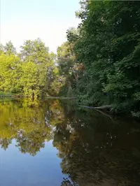 Screenshot_20200716_065253.webp