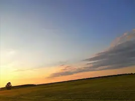 Screenshot_20200716_065320.webp