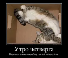 2020-07-16-09-52-12.webp
