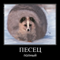 image-1.webp