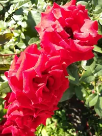 IMG_20200716_144139-min.webp