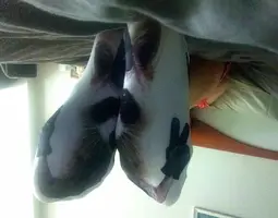 IMG_20200630_192825_253__2020.07.17-01.10.04.webp