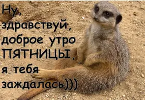 2020-07-17-08-24-28.webp