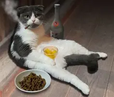 44b9d82a87189e9dc9c38cc5c8dcf2fa.webp