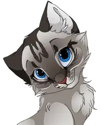 ce4135538f06.webp