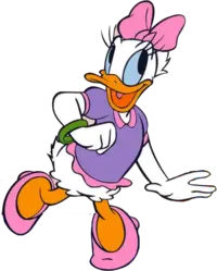 26.webp