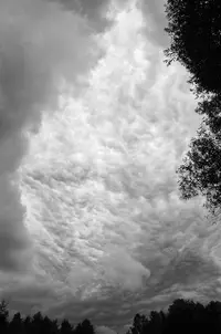 _DSC8810_1.webp