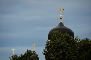 _DSC8867.webp