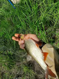 20200717_144256.webp